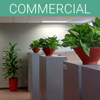 San Diego Botanicals