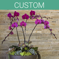 San Diego Botanicals