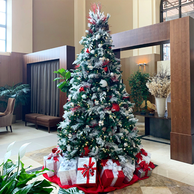 San Diego Botanicals San Diego Botanicals