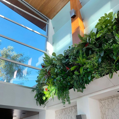San Diego Botanicals