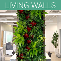 San Diego Botanicals