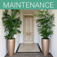 San Diego Botanicals