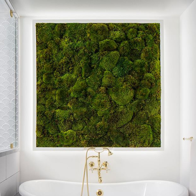 San Diego Botanicals San Diego Botanicals