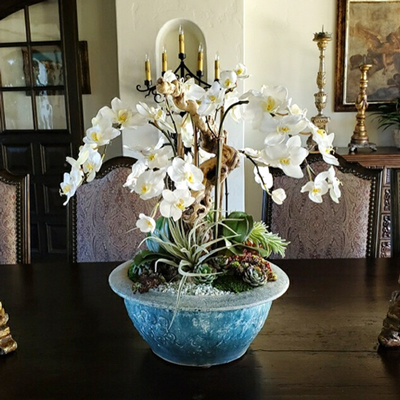 San Diego Botanicals San Diego Botanicals